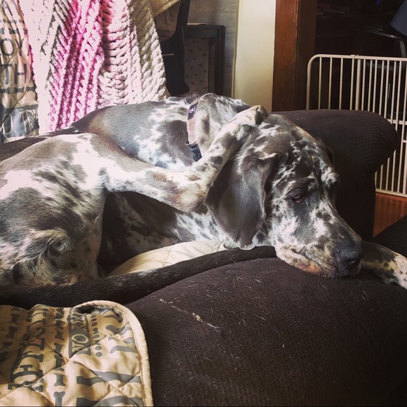 My baby needs surgery! - Picture 2 of 10